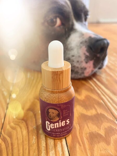 BEST CBD SUPPLEMENTS FOR DOGS PLUS